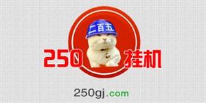 250挂机网