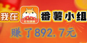 番薯小组