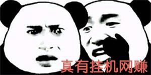 真有挂机网赚.jpg