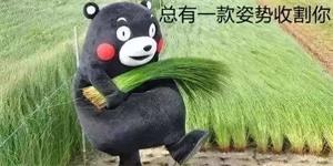 割韭菜.jpg