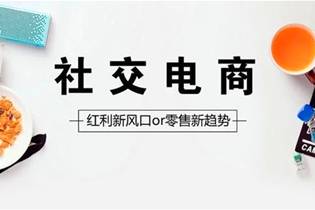 社交电商 社交电商