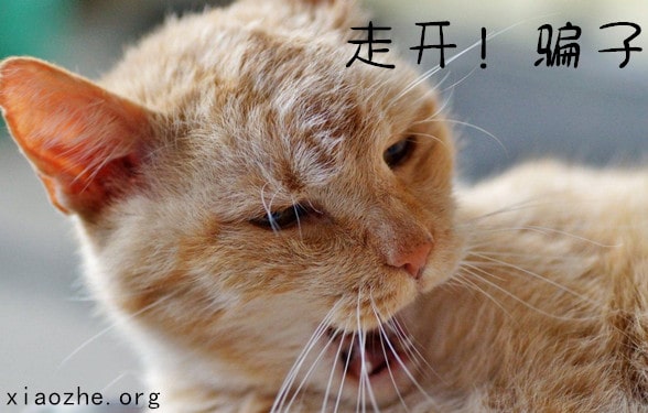 听歌一小时赚150 听歌一小时赚150