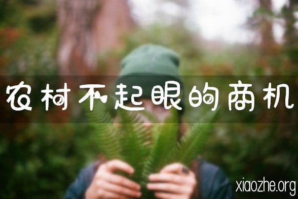 农村不起眼的商机 农村不起眼的商机