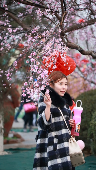 春节前的暴利小生意 春节前的暴利小生意