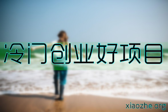 冷门创业好项目.jpg 冷门创业好项目.jpg
