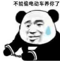 庞氏骗局 庞氏骗局