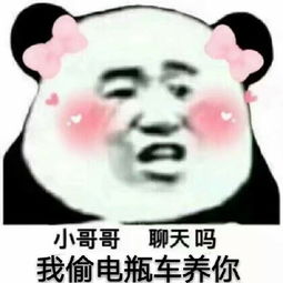 庞氏骗局 庞氏骗局