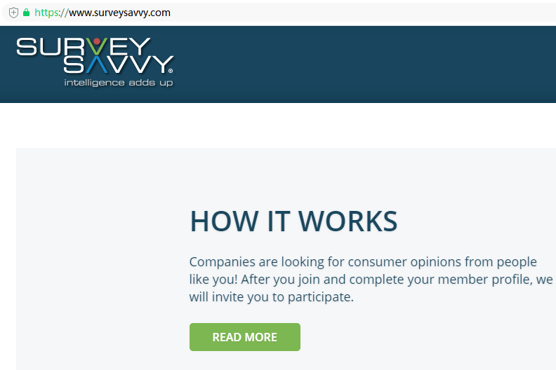 surveysavvy surveysavvy