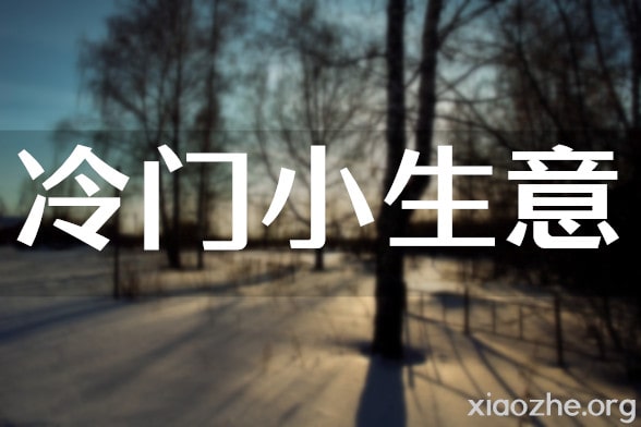 冷门小生意 冷门小生意