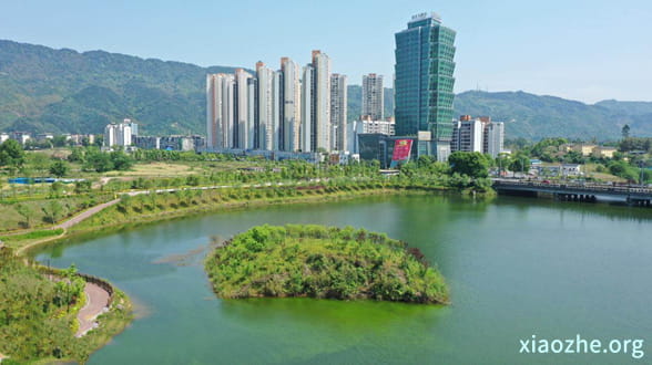 赚钱快的软件一天50元