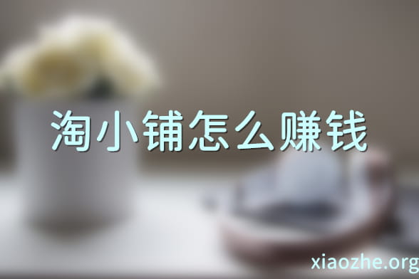 淘小铺怎么赚钱