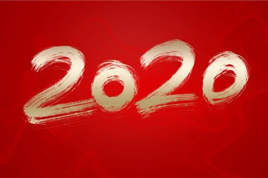 2020年十大流行语，看看你都听说过哪个