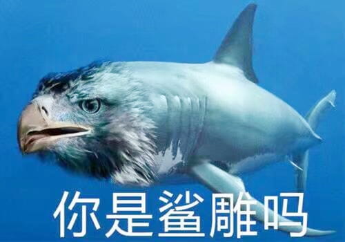 沙雕 沙雕