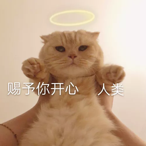 我emo了是什么意思？emo怎么读