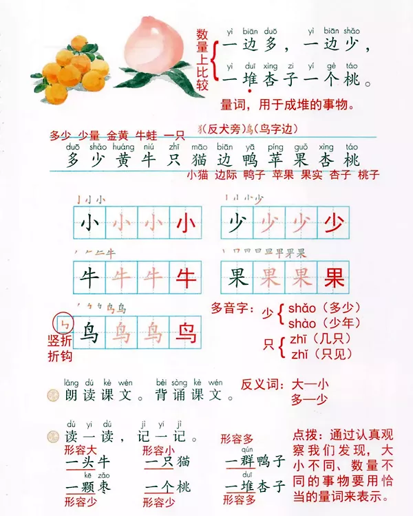 大小多少课文详解 大小多少课文详解