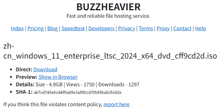 BUZZHEAVIER网盘 BUZZHEAVIER网盘
